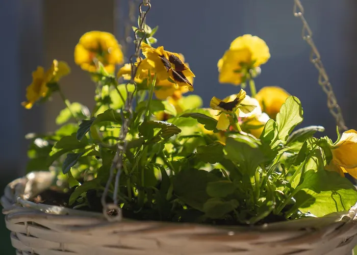 Apartamento Katerina *